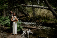 Sage & Sloan Wedding
