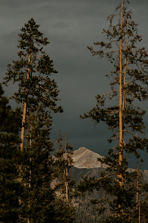 089_Gadd_Ray_J_969A0405