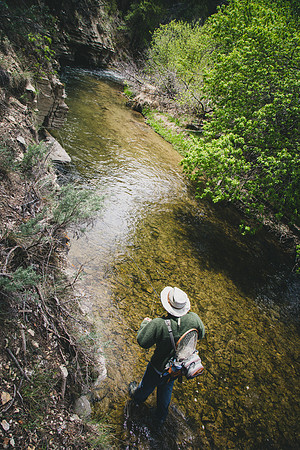 Small Water Stalking
