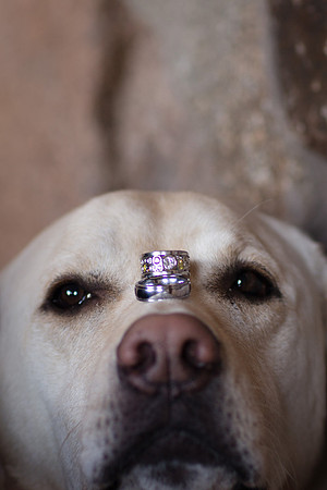 GaddRay_SunValleyWedding_62A9724