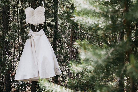 Gadd_Ray_J_Galena_Wedding_O4A5581