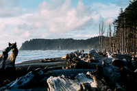 Gadd_Ray_J_762A8341